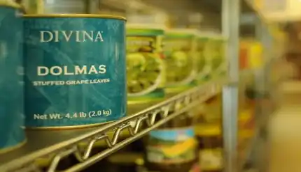 Mediterranean foods and stuffed grape leaves